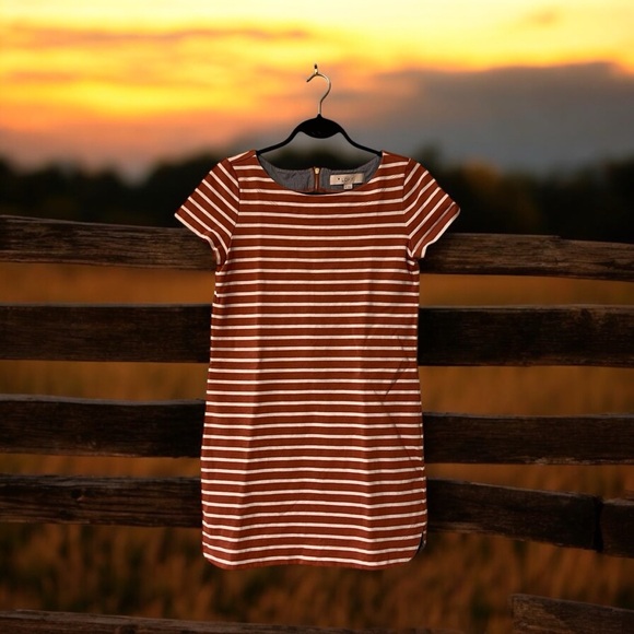 Ann Taylor LOFT Sienna Brown & Cream Striped Knit Mini Shift Dress - Picture 11 of 16